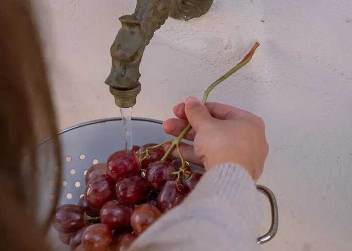 Antama Living, Luxe Stonehouse With Pool & Bbq Villa Rethymno (Crete)